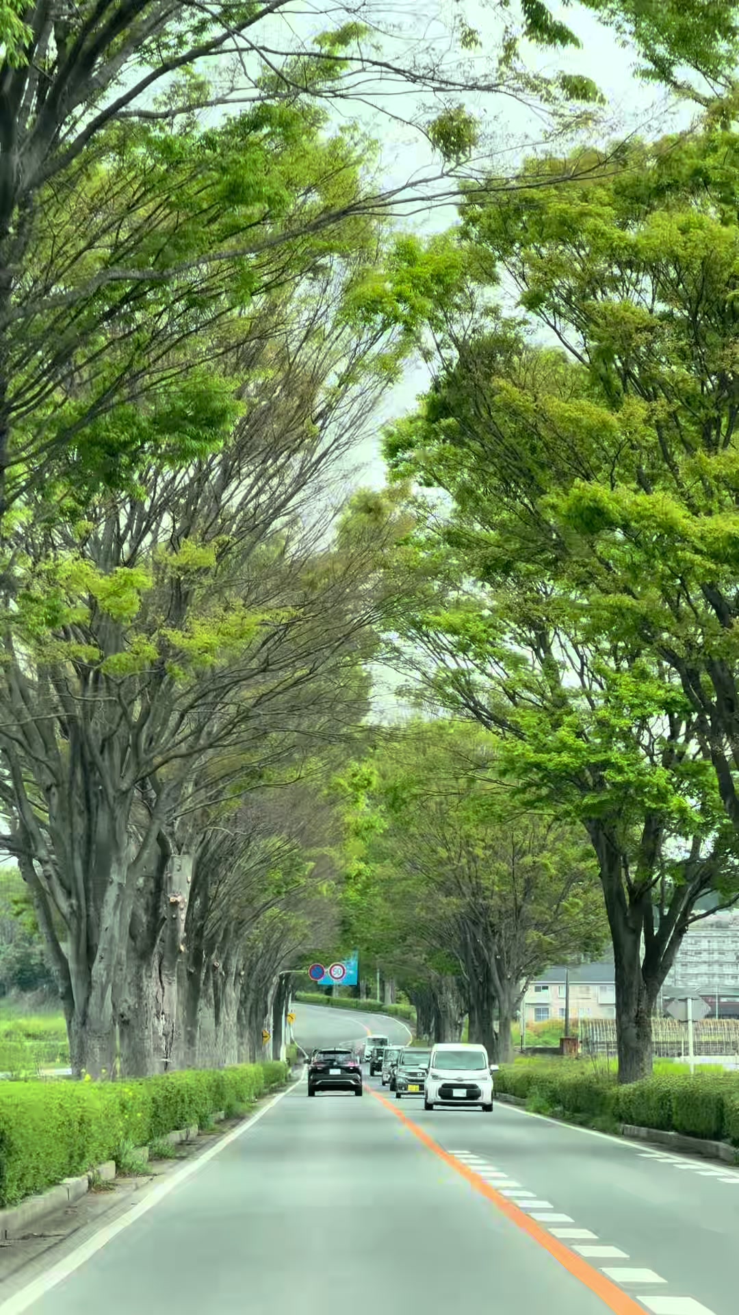 @甲山貴明 Takaaki Kohyama