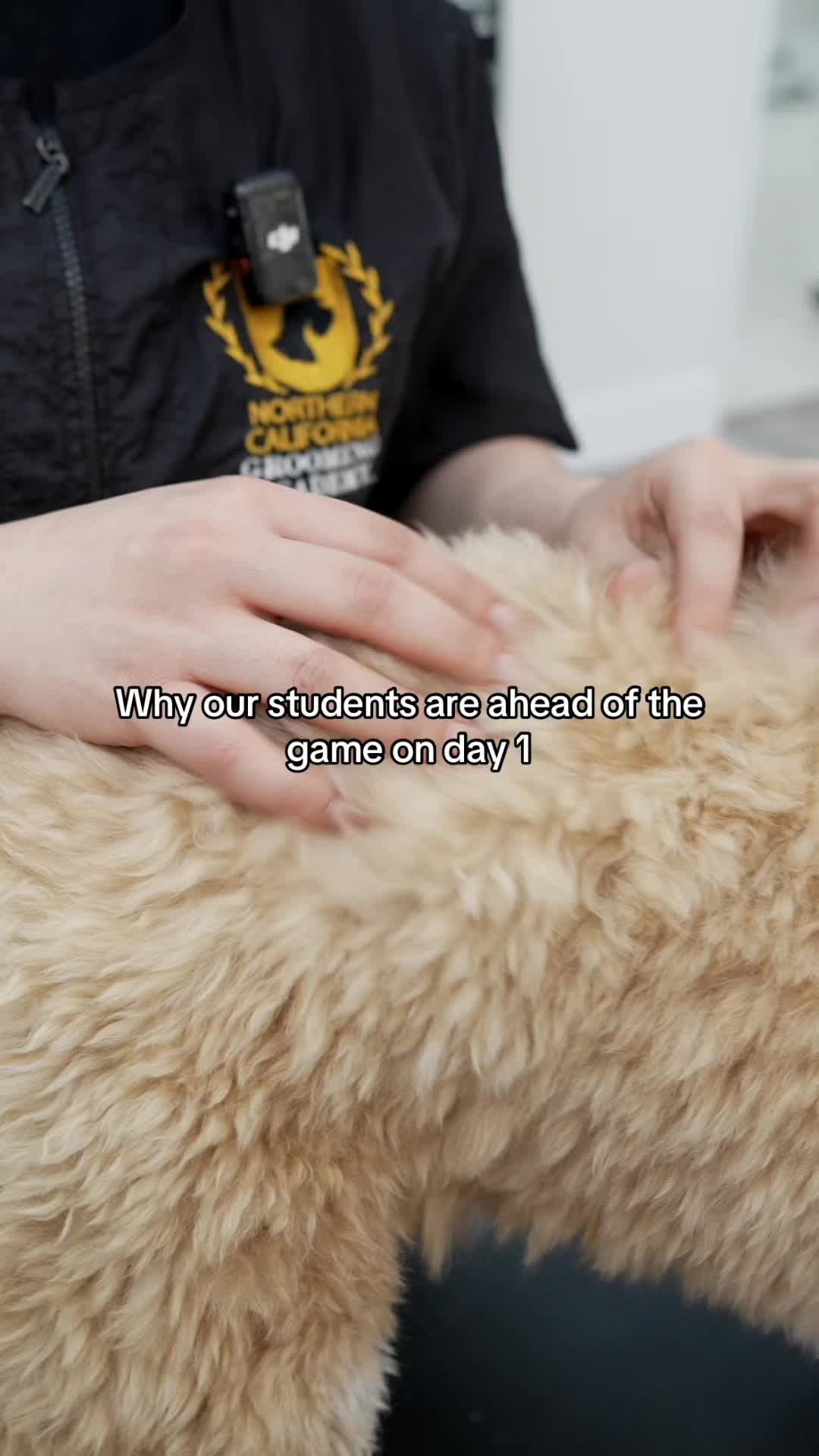 @NorCal Grooming Academy