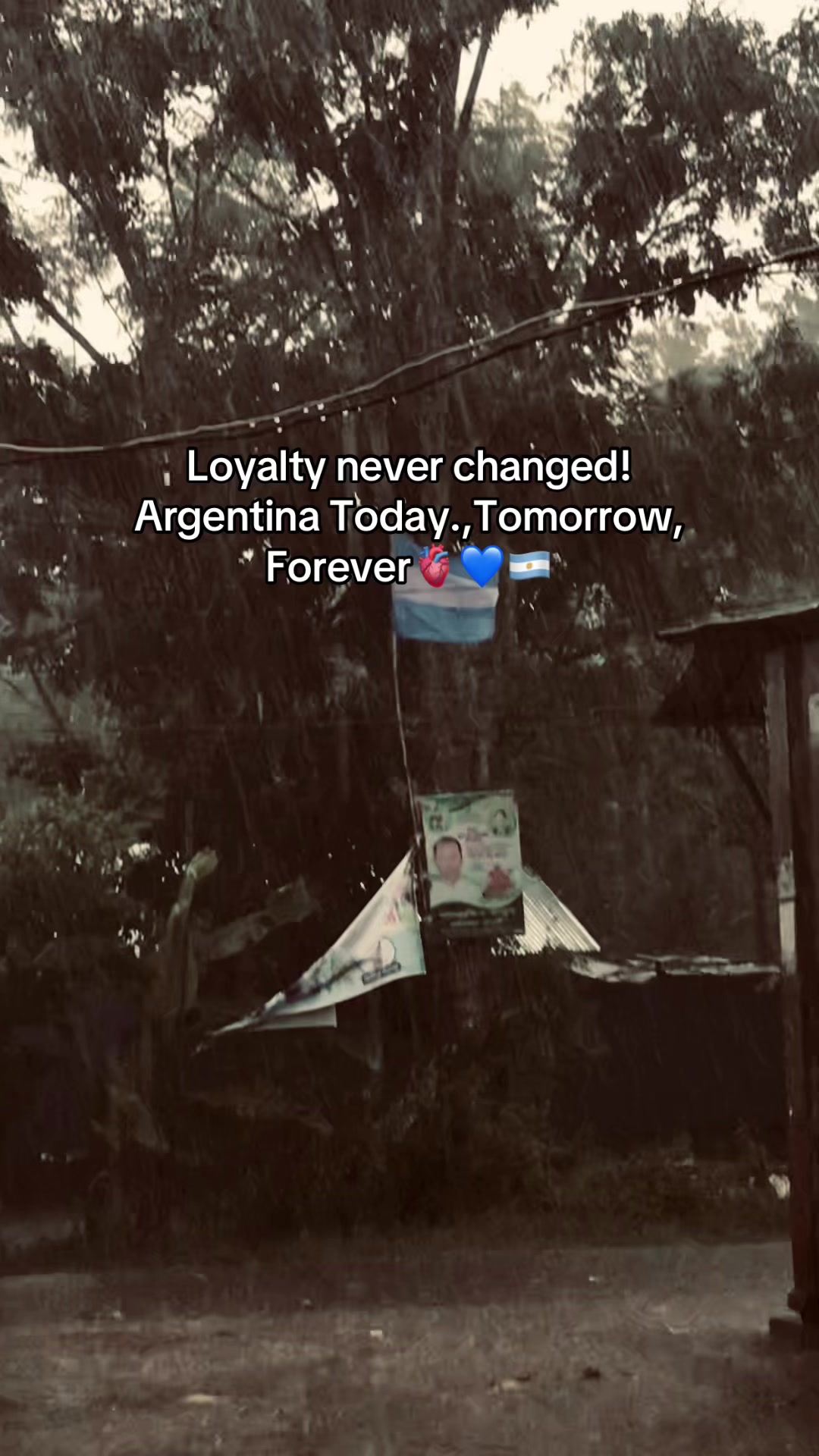 @the_spydoo🕸️ 🥏