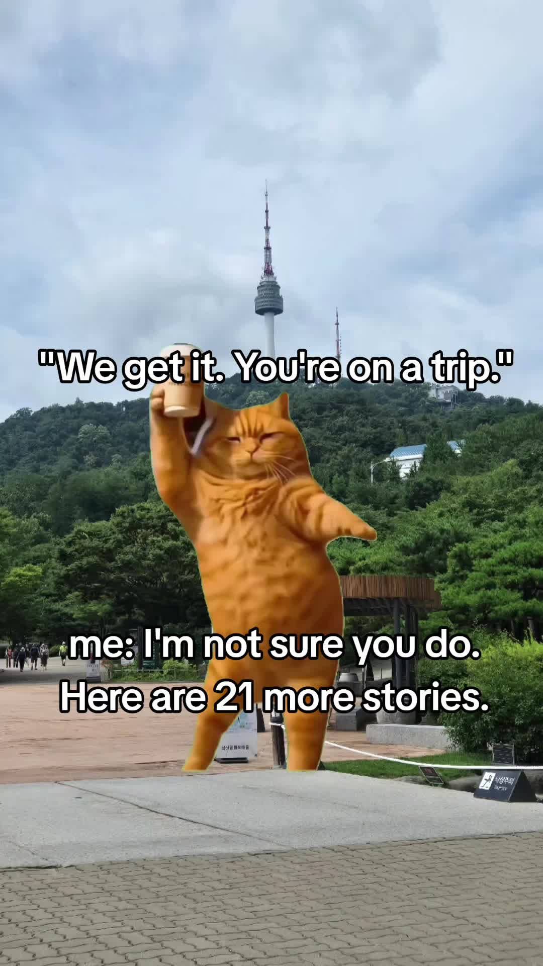 @Just Memes