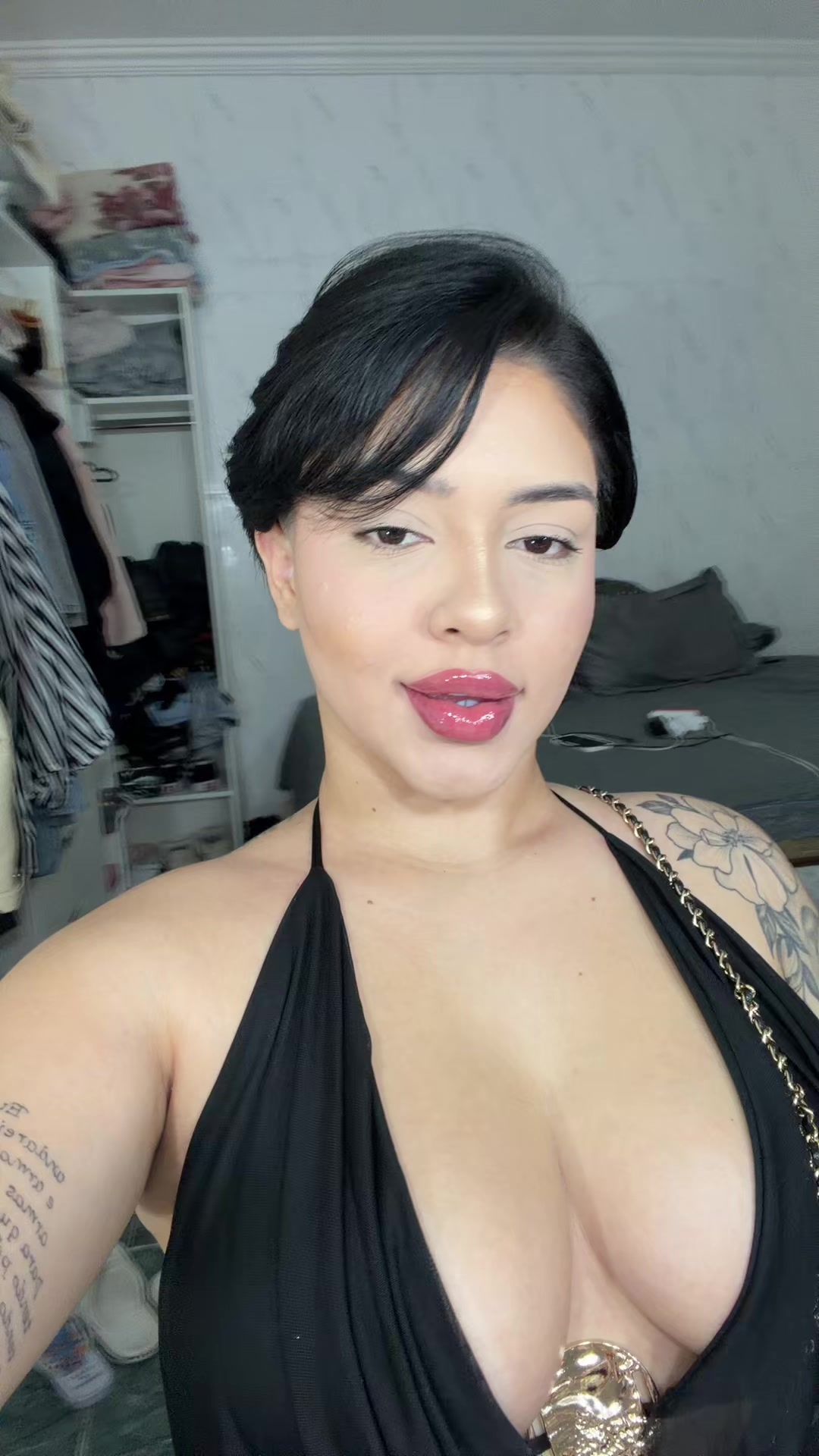 @dailygatuninha