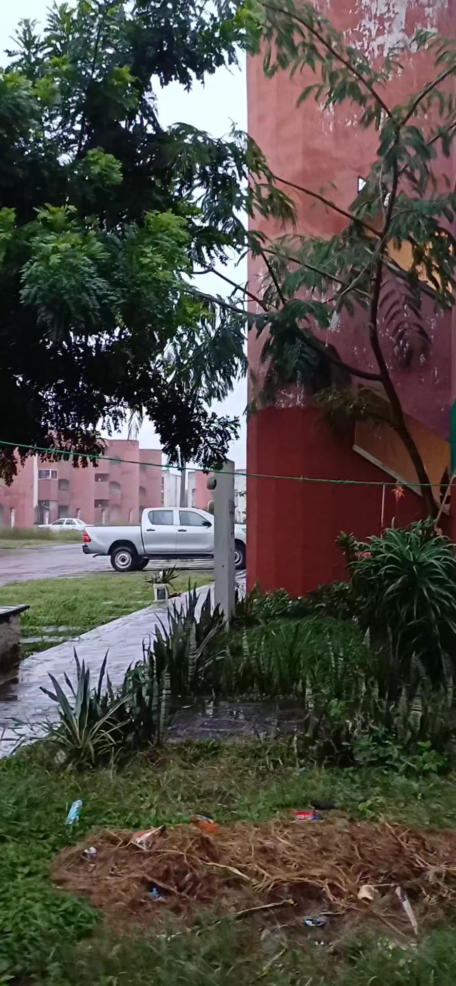 @Mayra Martinez