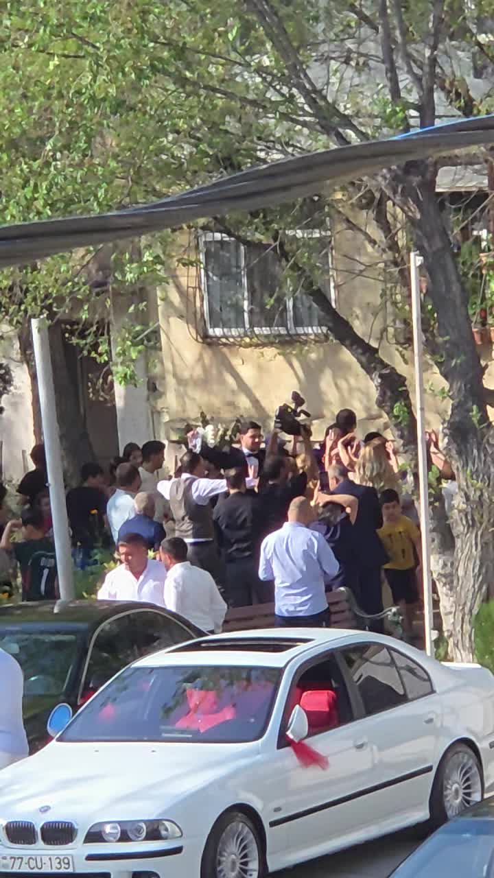@Aynur Memmedova