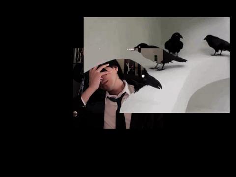 @Suicidecelebrity