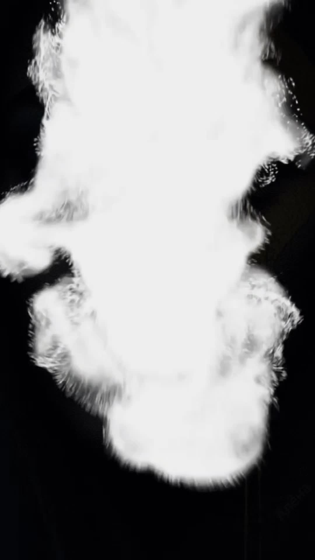 @🩶RAZIA🩶MAJID 🩶