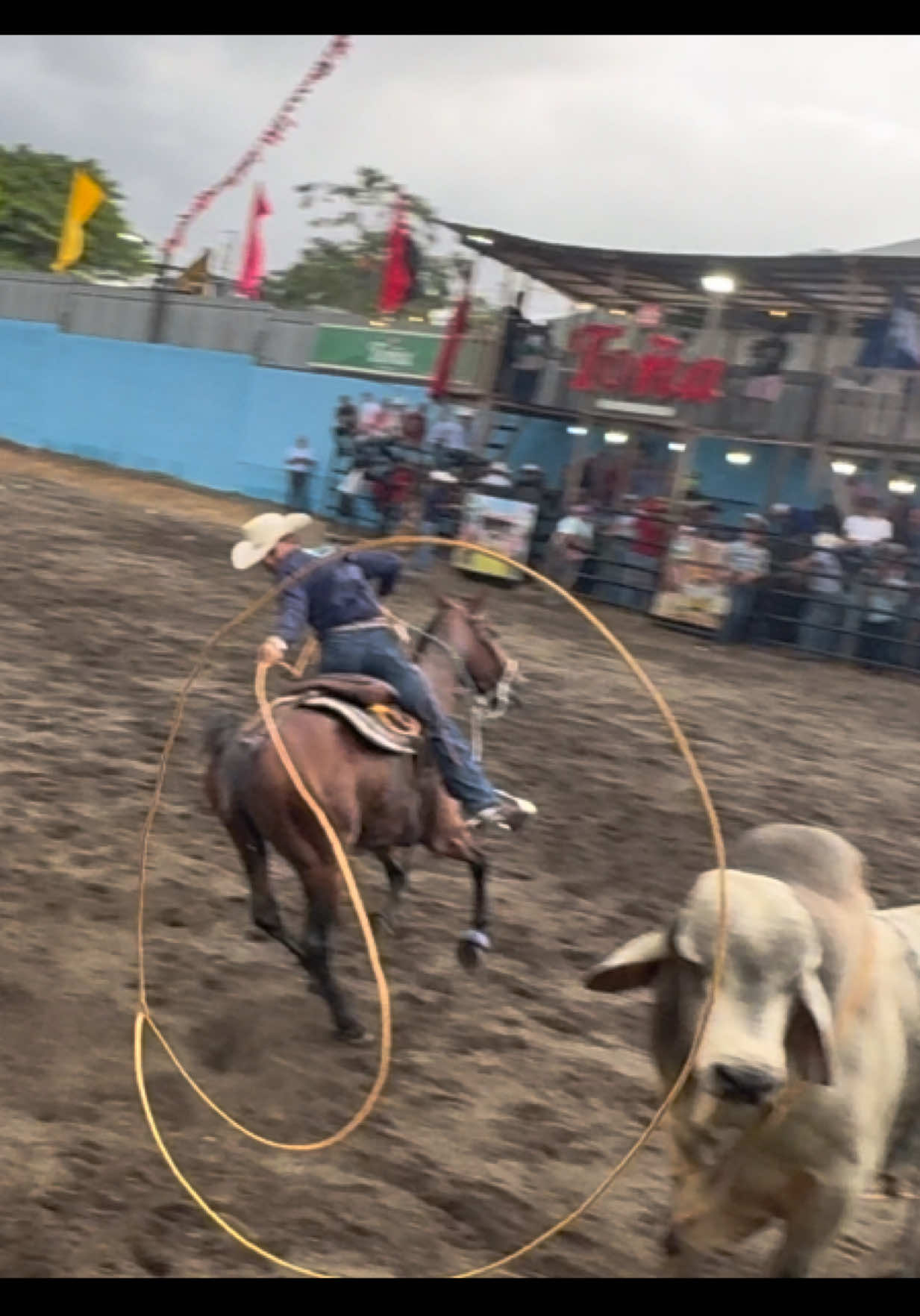 @José Núñez