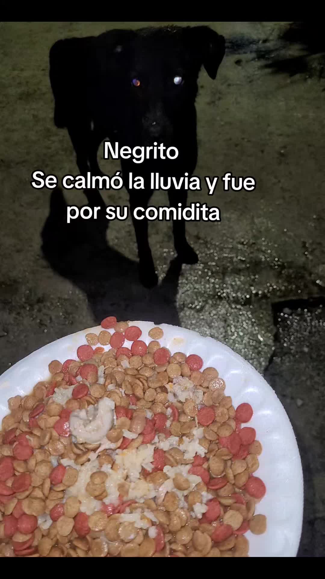 @𝕃𝕚𝕤𝕤 ℝ𝕖yes🇸🇻