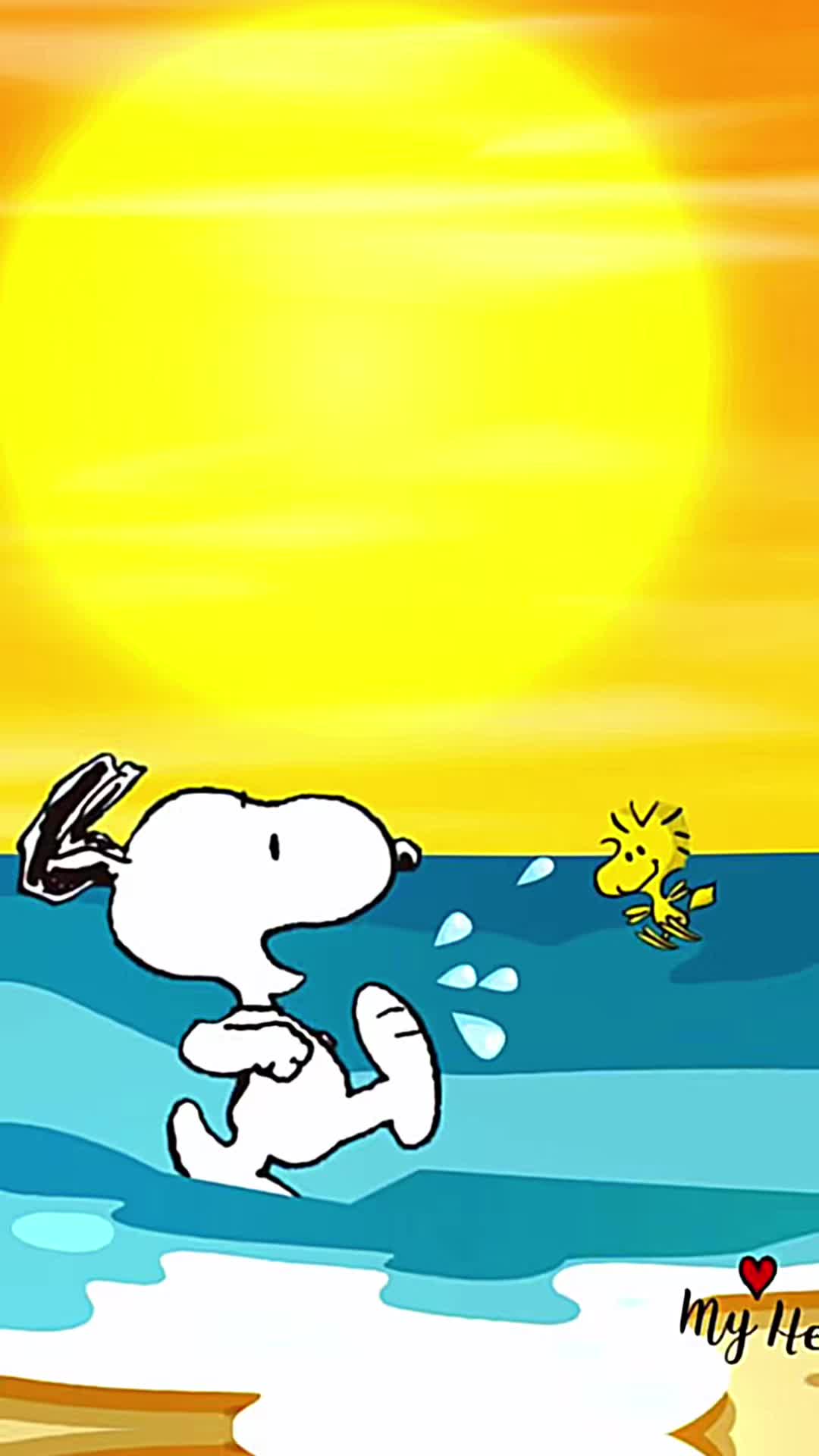 @Videos Creativos