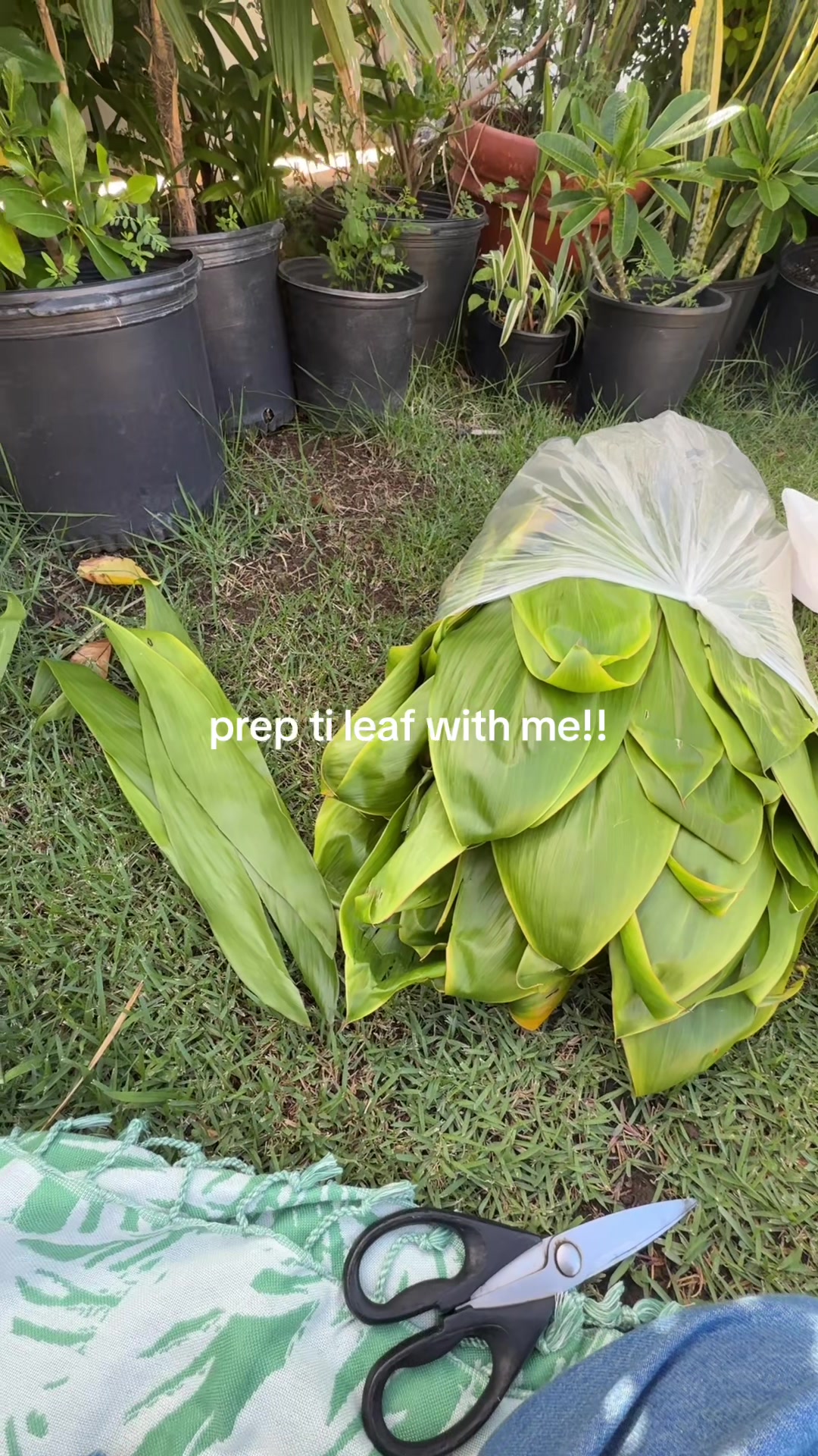 @plantedbymal 🌺