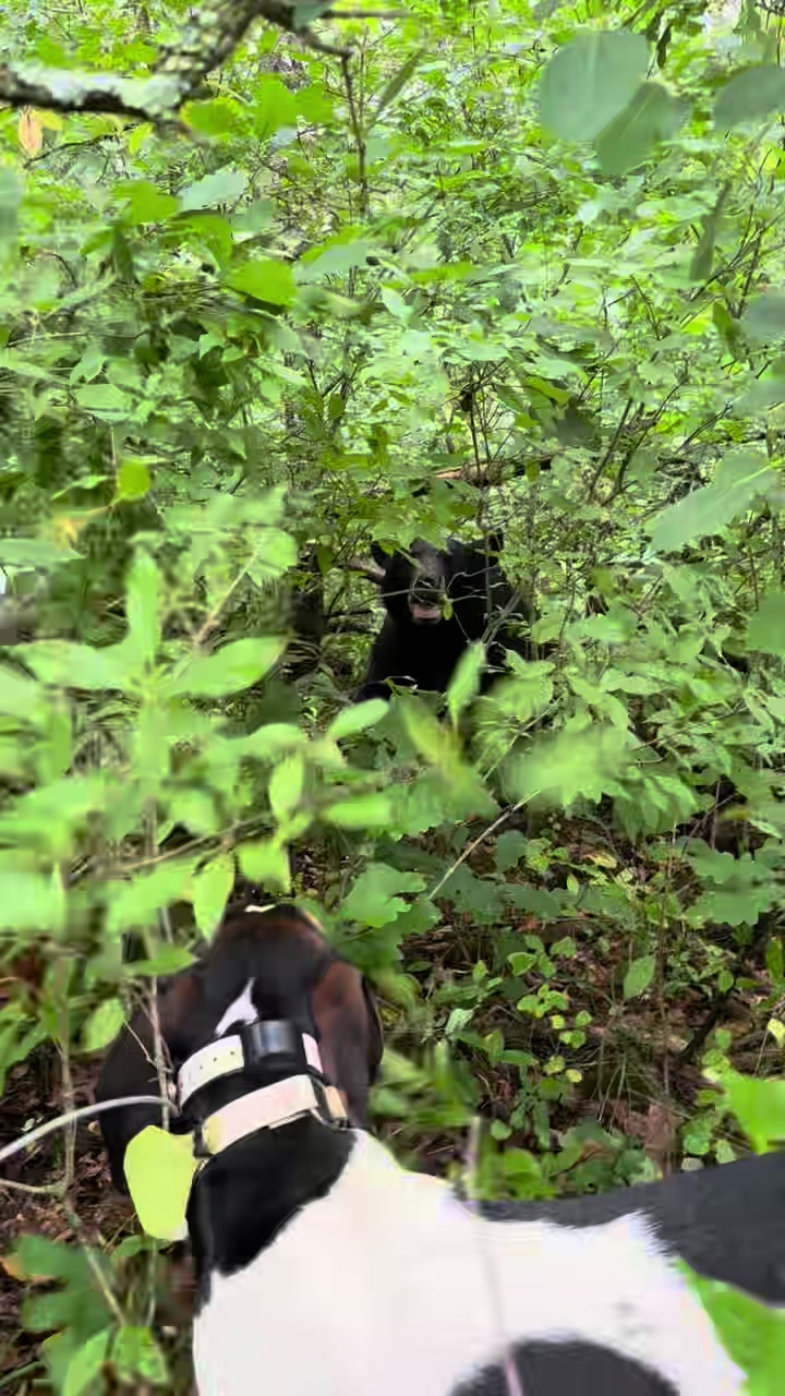 @Tri-County Outdoors