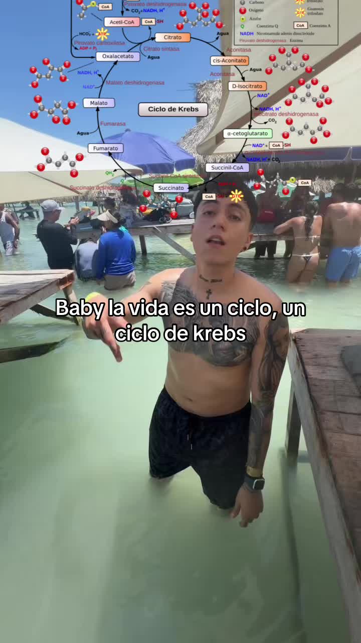 @ENDOBOY