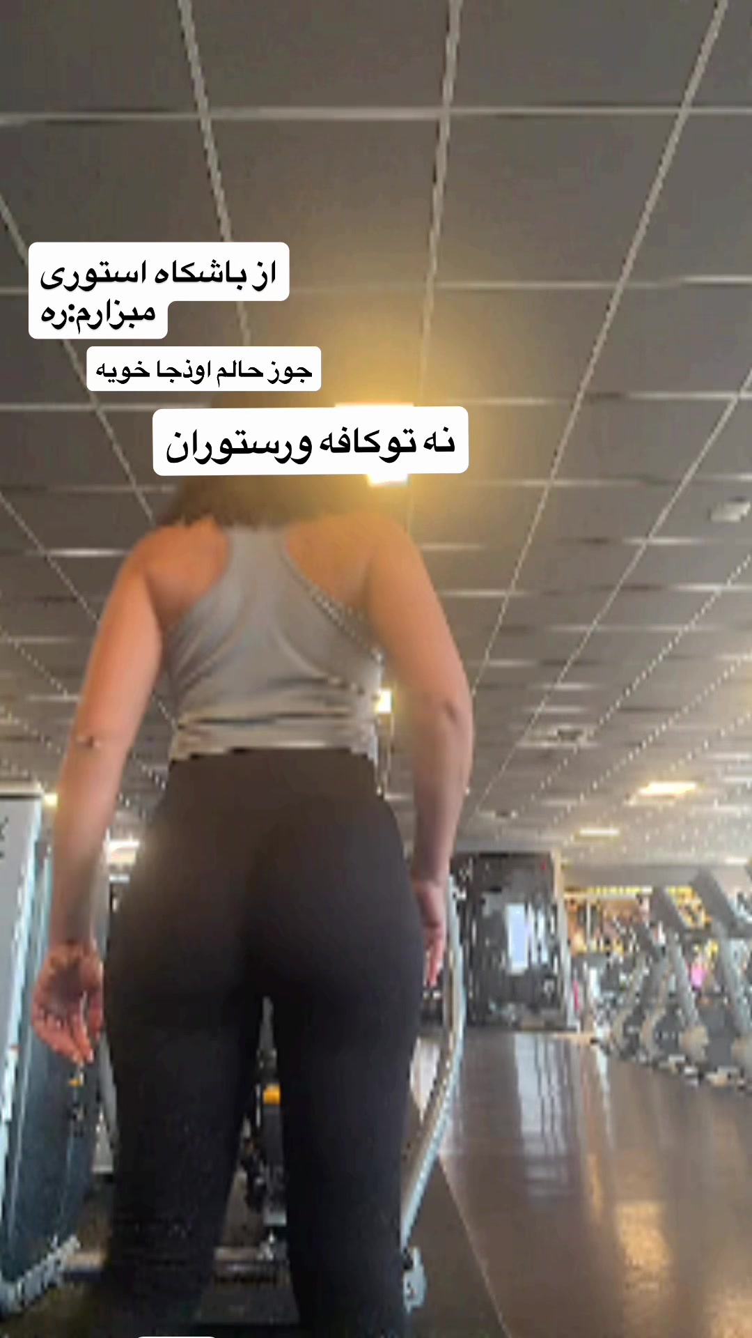 @Fatemeh Fenjanchi