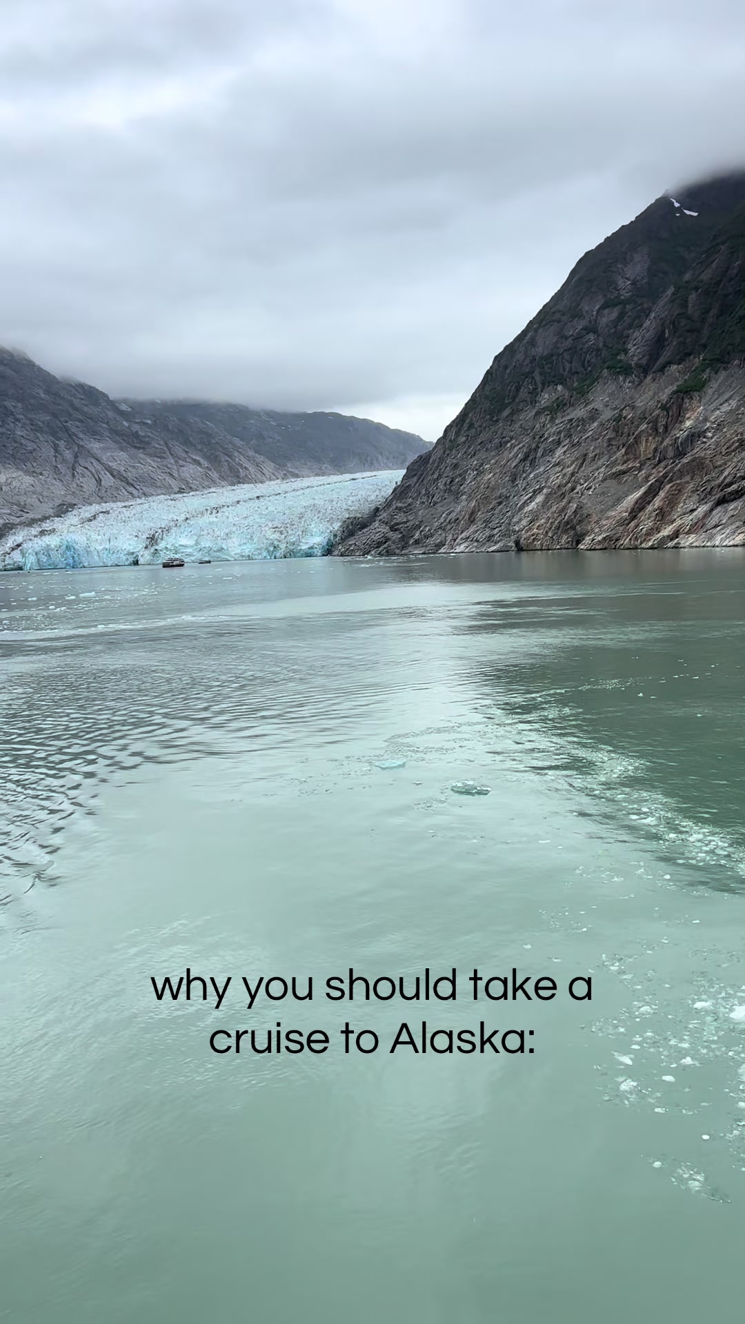 @Shelby | Travel Advisor🧳✈️