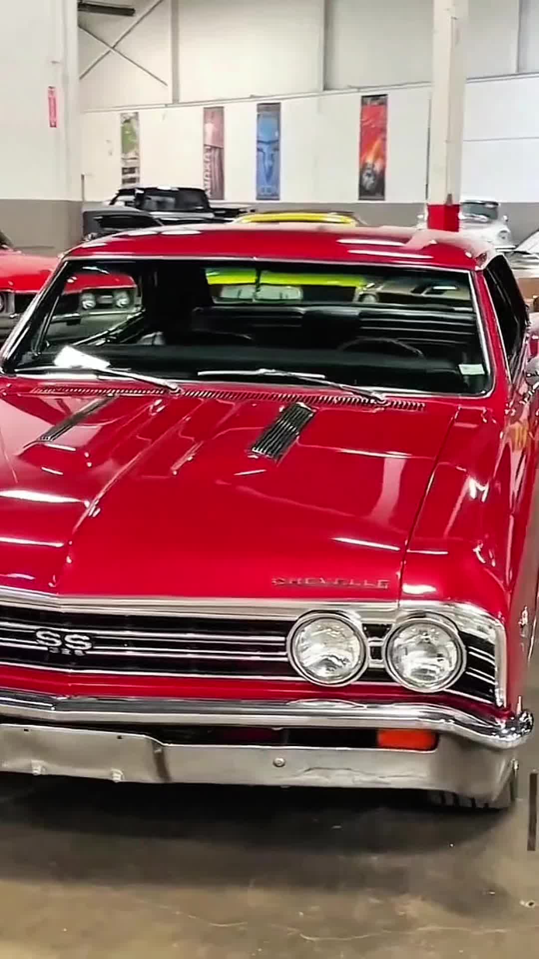 @𝙈𝙊𝙏𝙊𝙍𝙎 𝙈𝘼𝙉𝙄𝘼