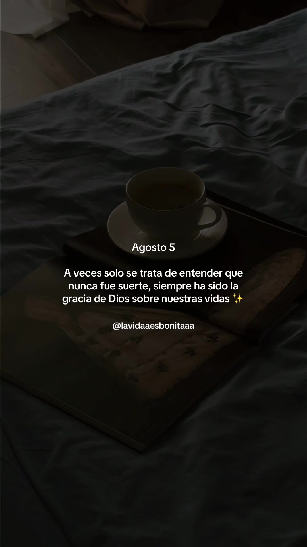 @vidabonita❤️🩹