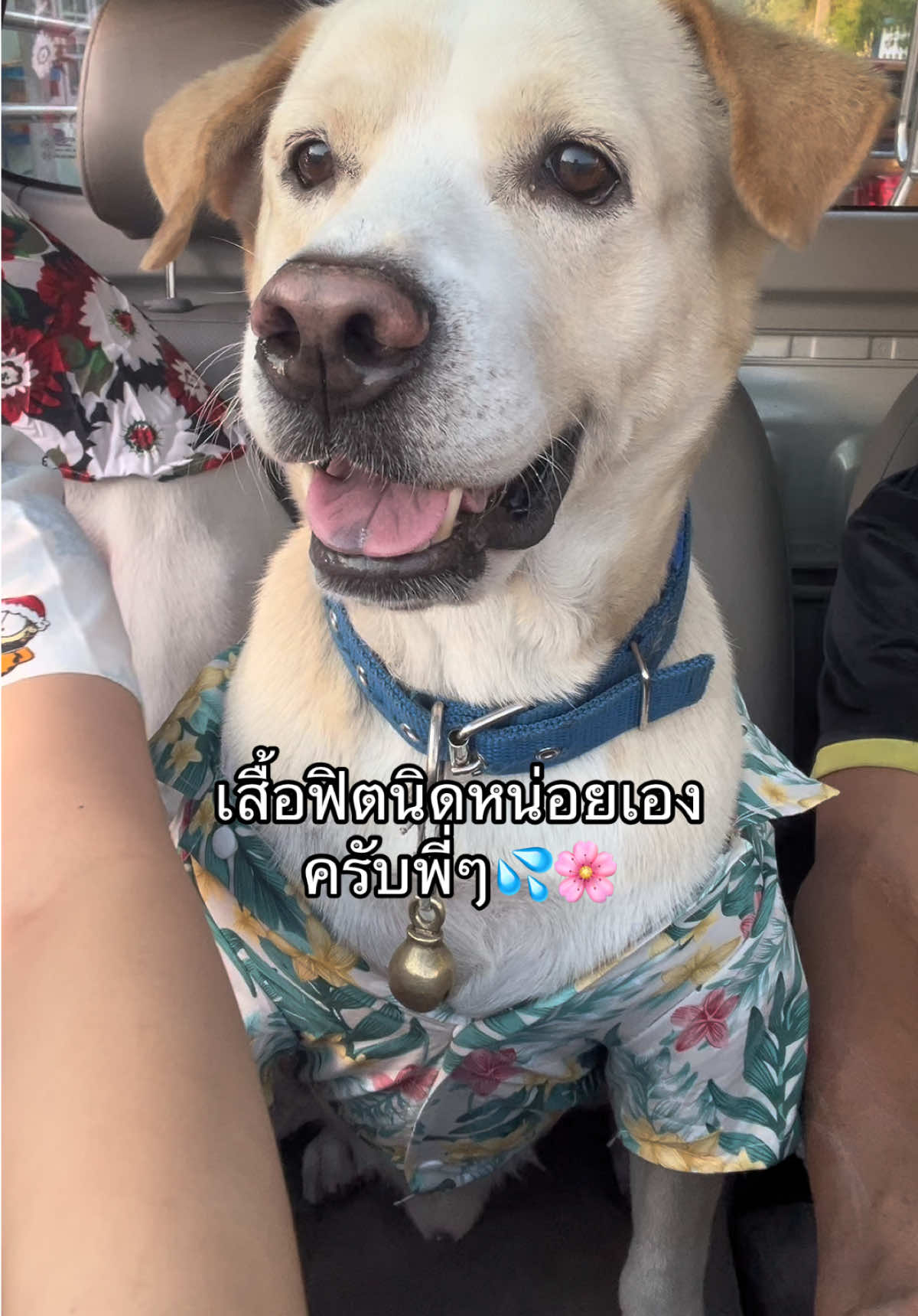 @มะลิตาฟ้าาาาา🐕🐶💫