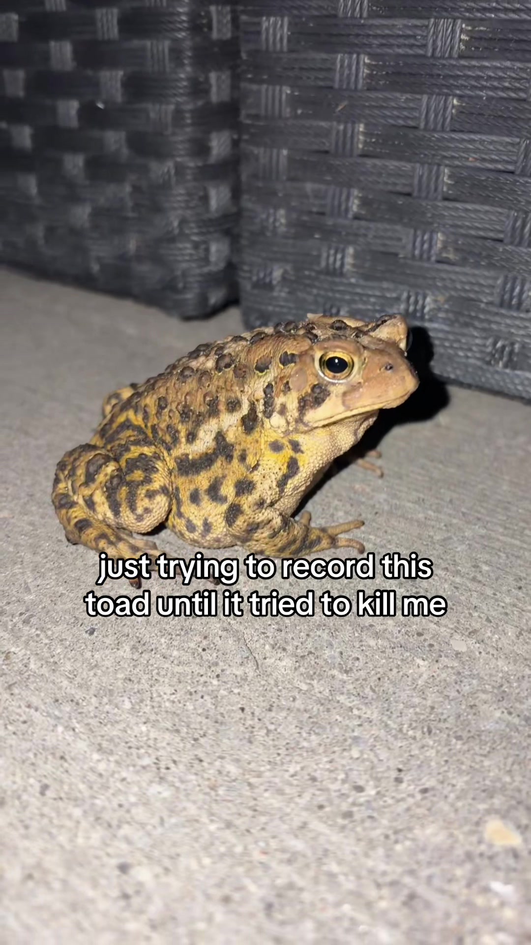 @OWEN