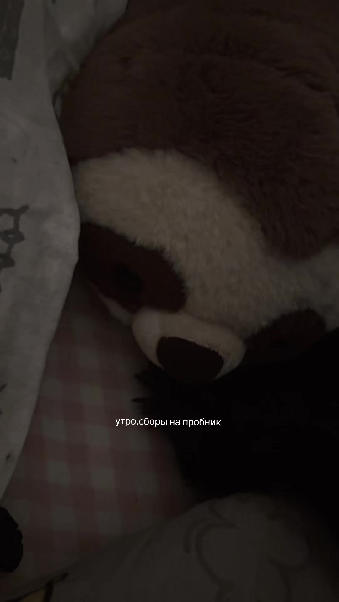 @(_ _).｡o○