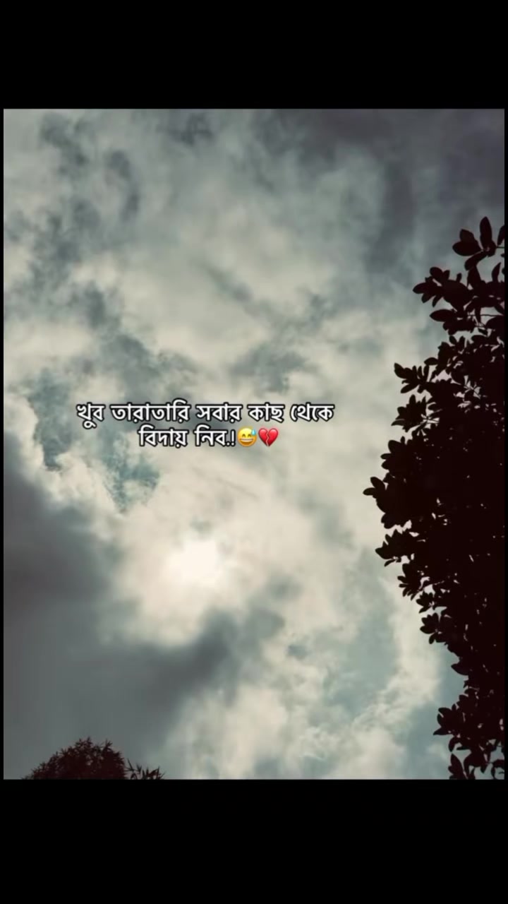 @💫🥀 ⊶N⊶O⊶Y⊶O⊶N⊶🥀💫
