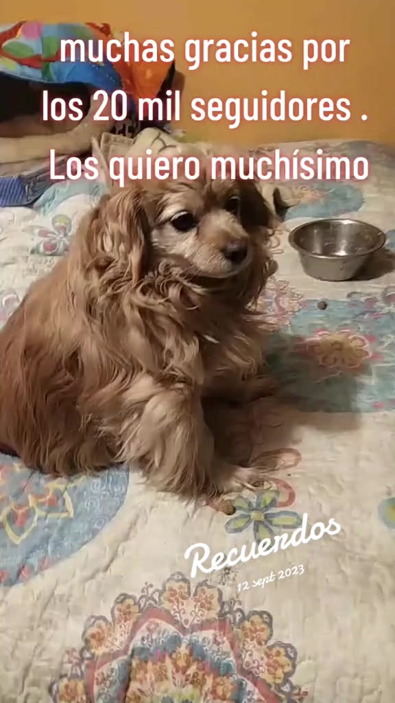 @Canelita@la bonita