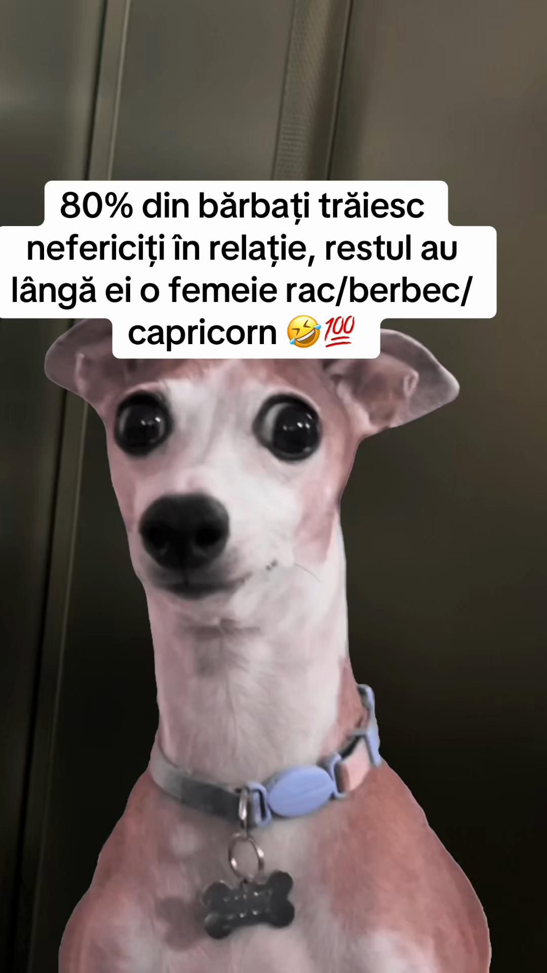 @*๐ข๐ช๐ซ๐ป๐๐ค๐ฒ๐ฉ
