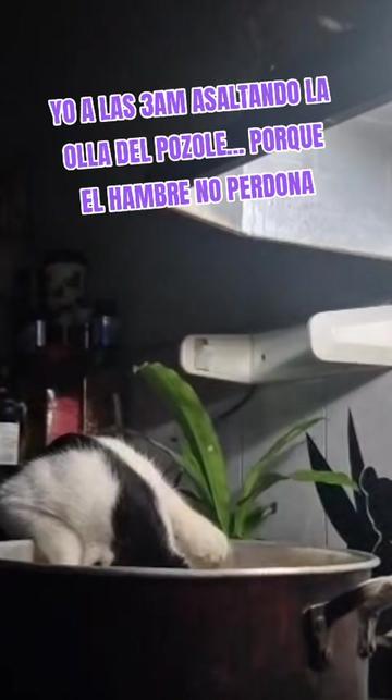 @LUPITA MARTINEZ 😻