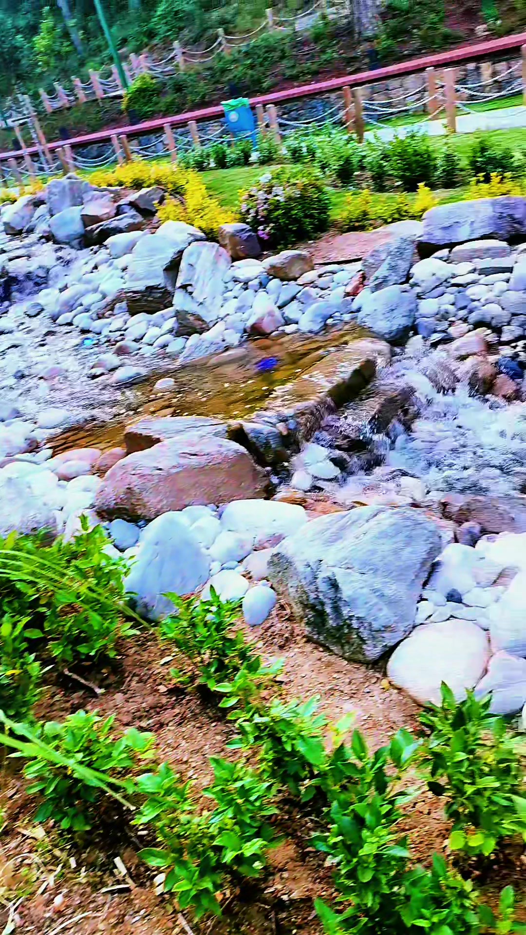 @🌸زهرة اللوتس 🌸