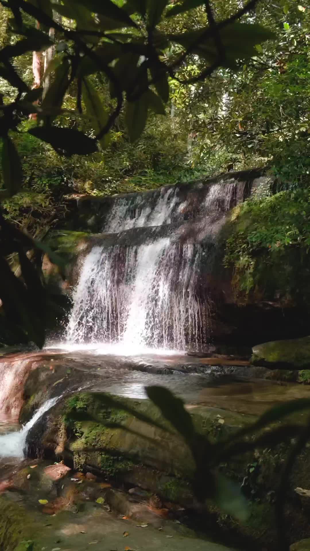 @Wander North Georgia