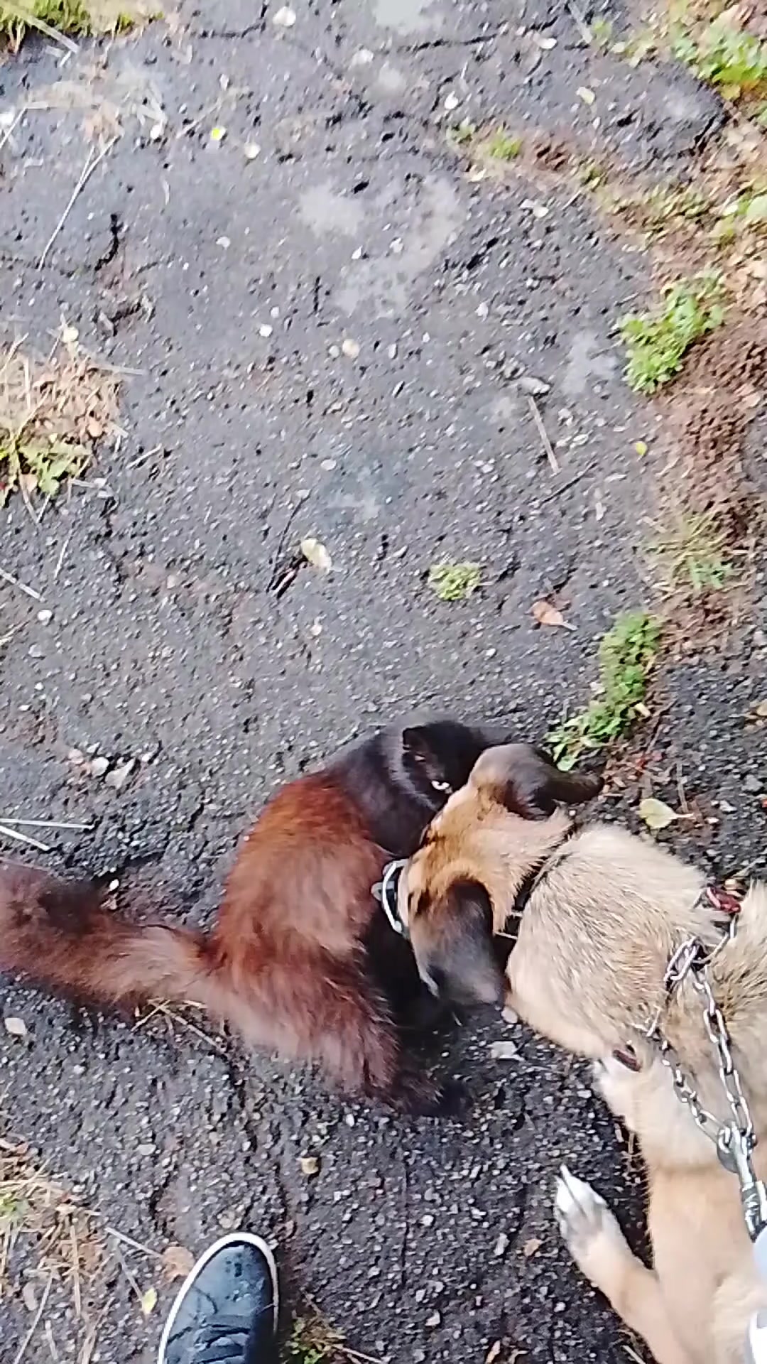 @(づ。◕‿‿◕。)づ