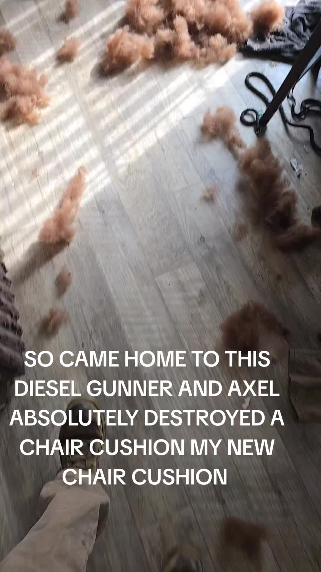 @TNCOUNTRYBOY31