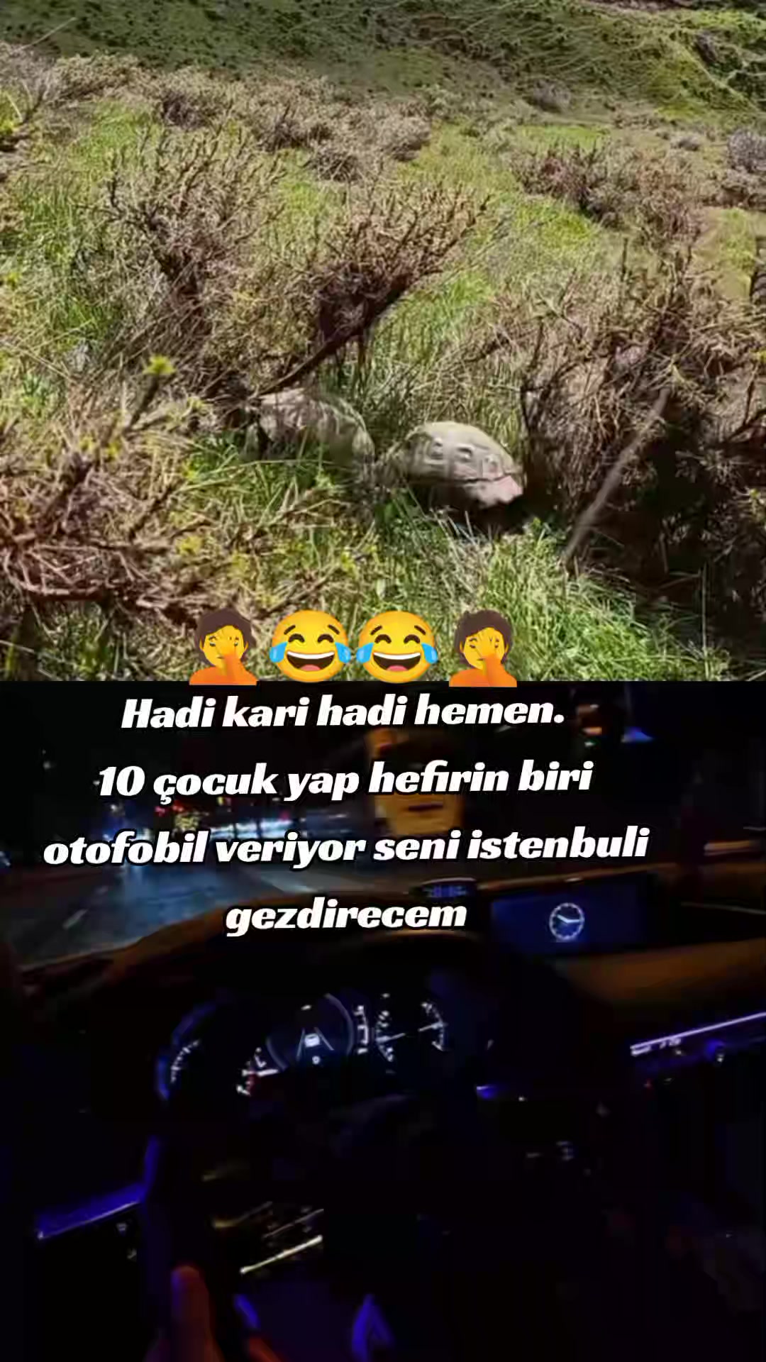 @ümit yariz
