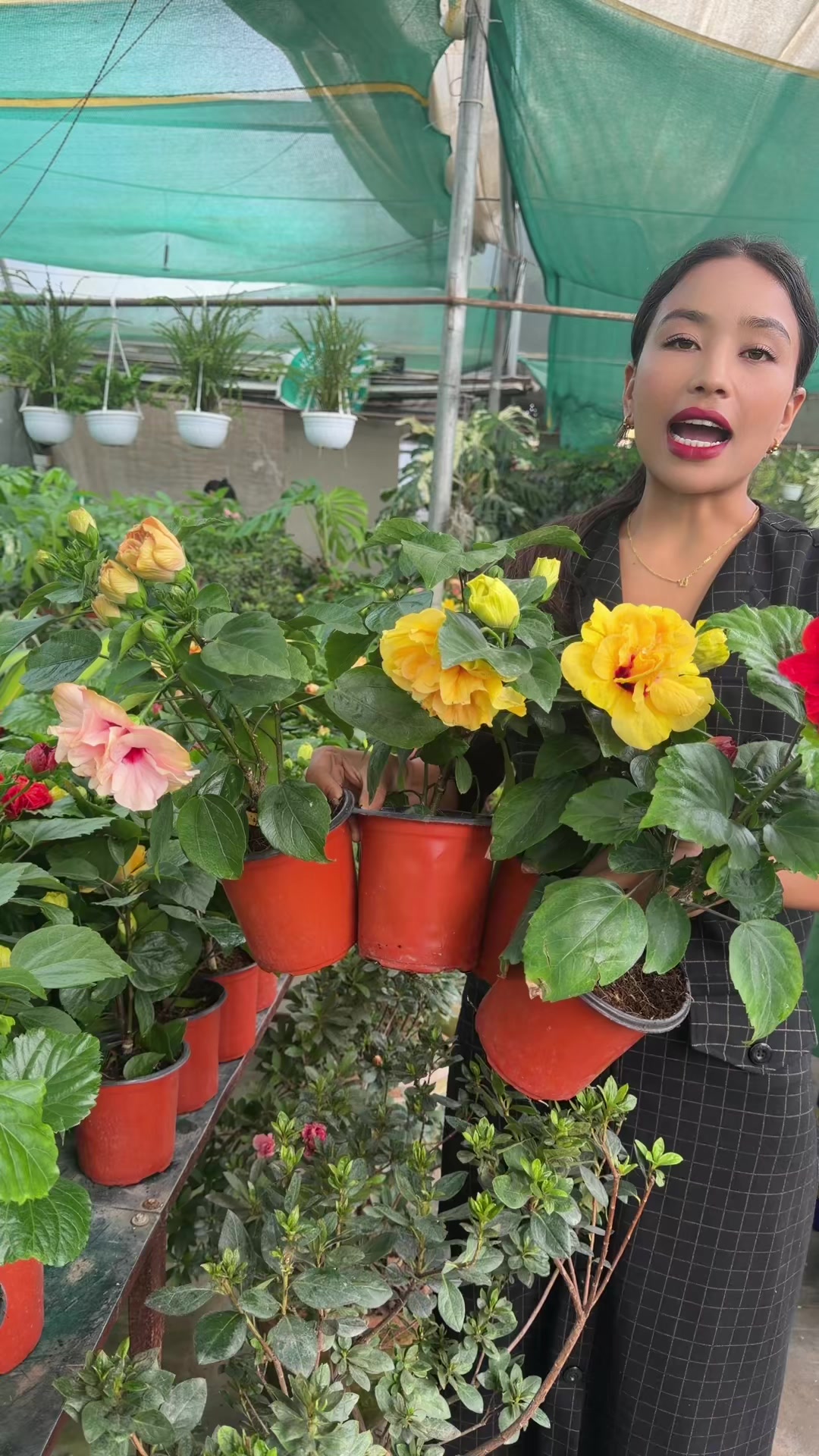 @Uday Garden Centre