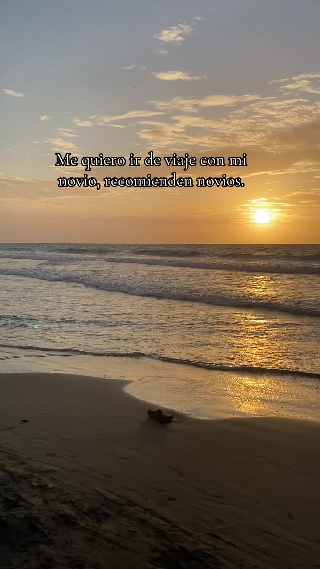 @Dal&iacute; Sosa 🦋