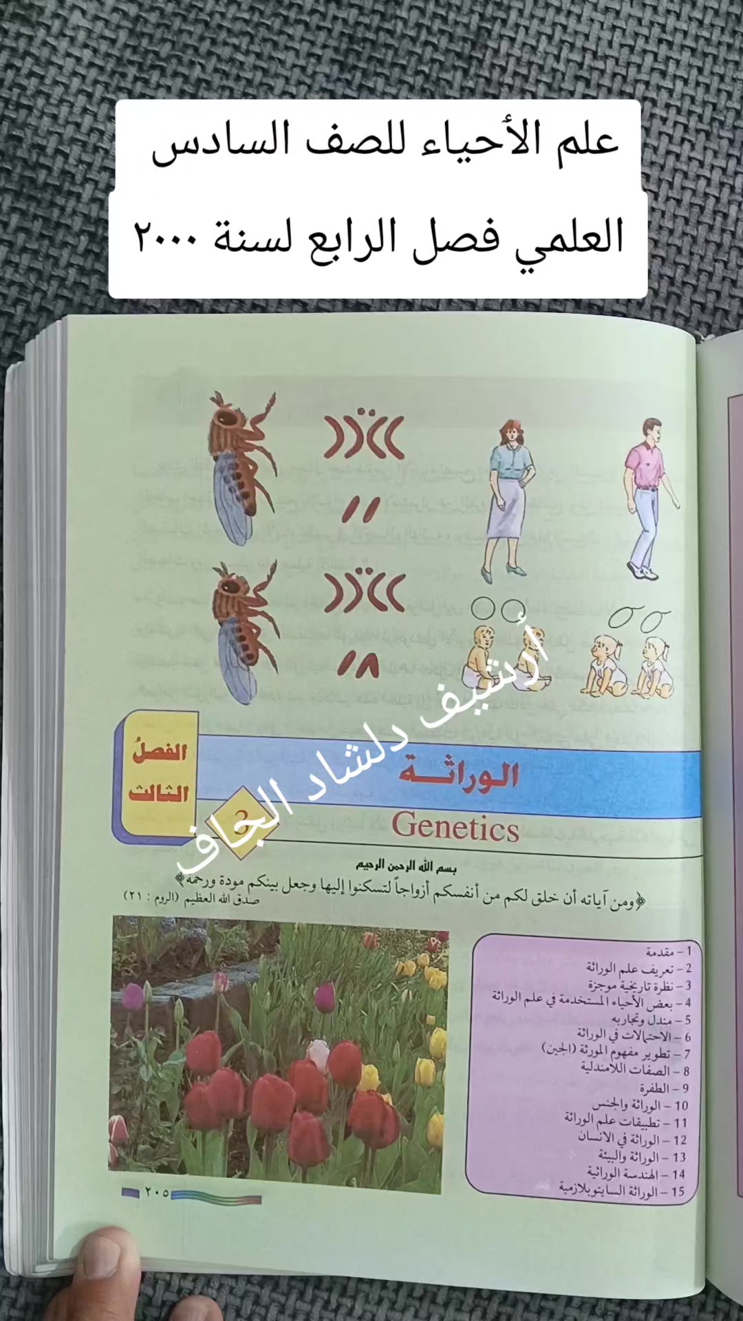 @ٲرشيف دلشاد جاف للكتب المدرسية