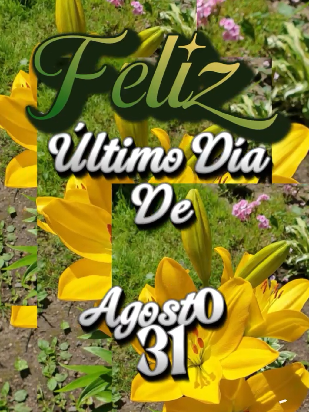 @Arely Mendoza Frases bonitas