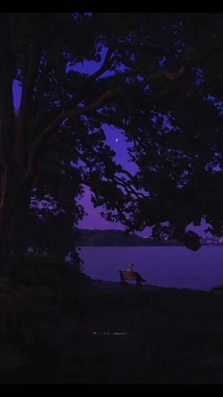 @아즈하르 𓆩♡𓆪