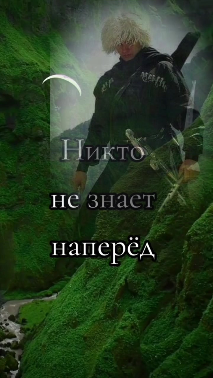 @akitakot2
