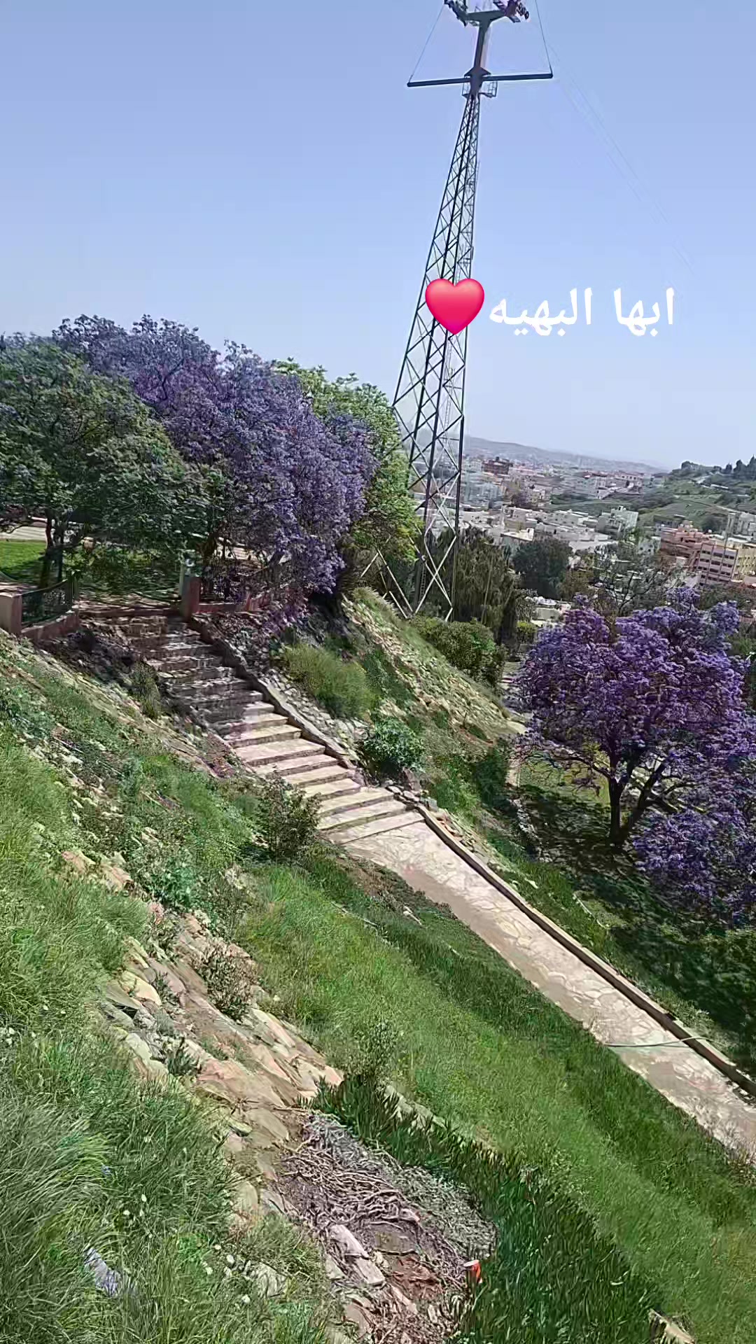 @ᥫ᭡𝓂