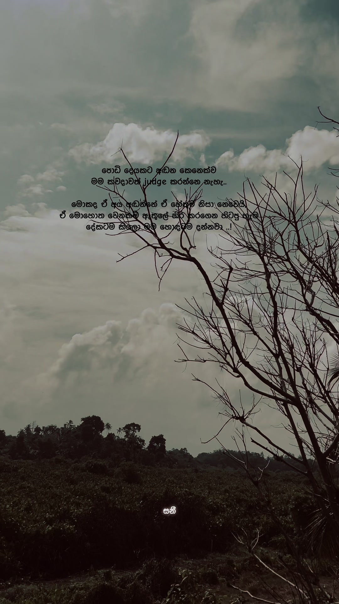 @𝐒 𝐀 𝐍 𝐈 • 