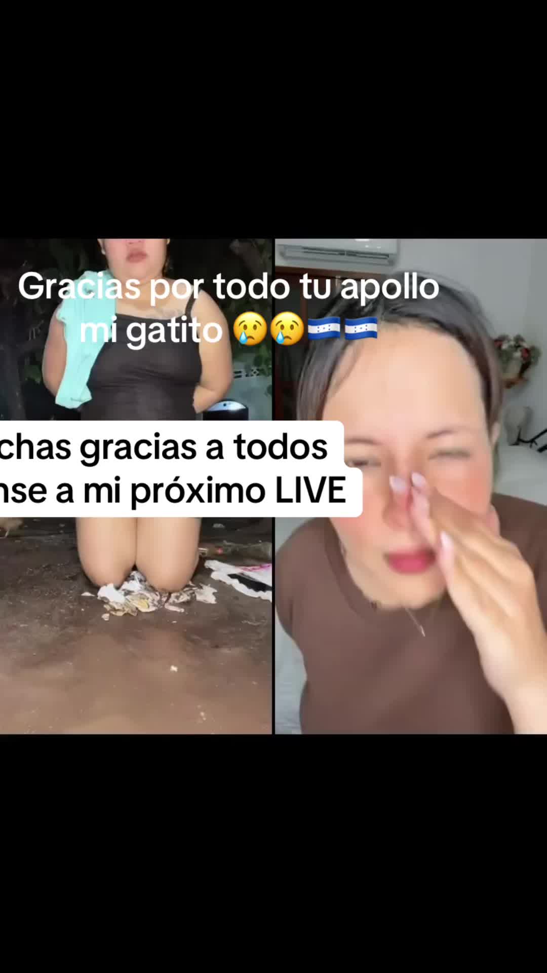 @👑🇧🇷CHAPINA💥🐓❤️🔥🩷🔱🐈