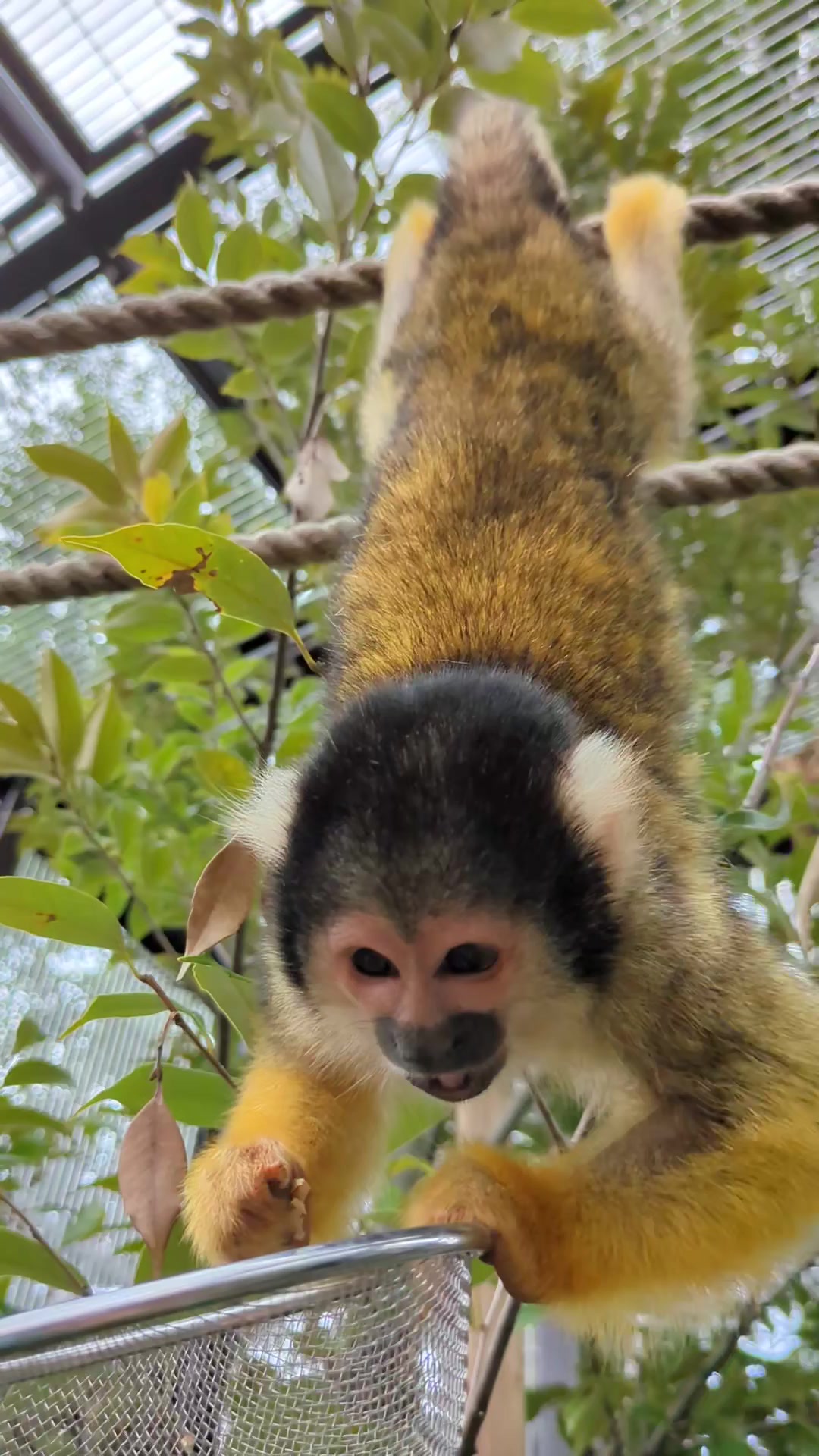 @Ichikawa City Zoo