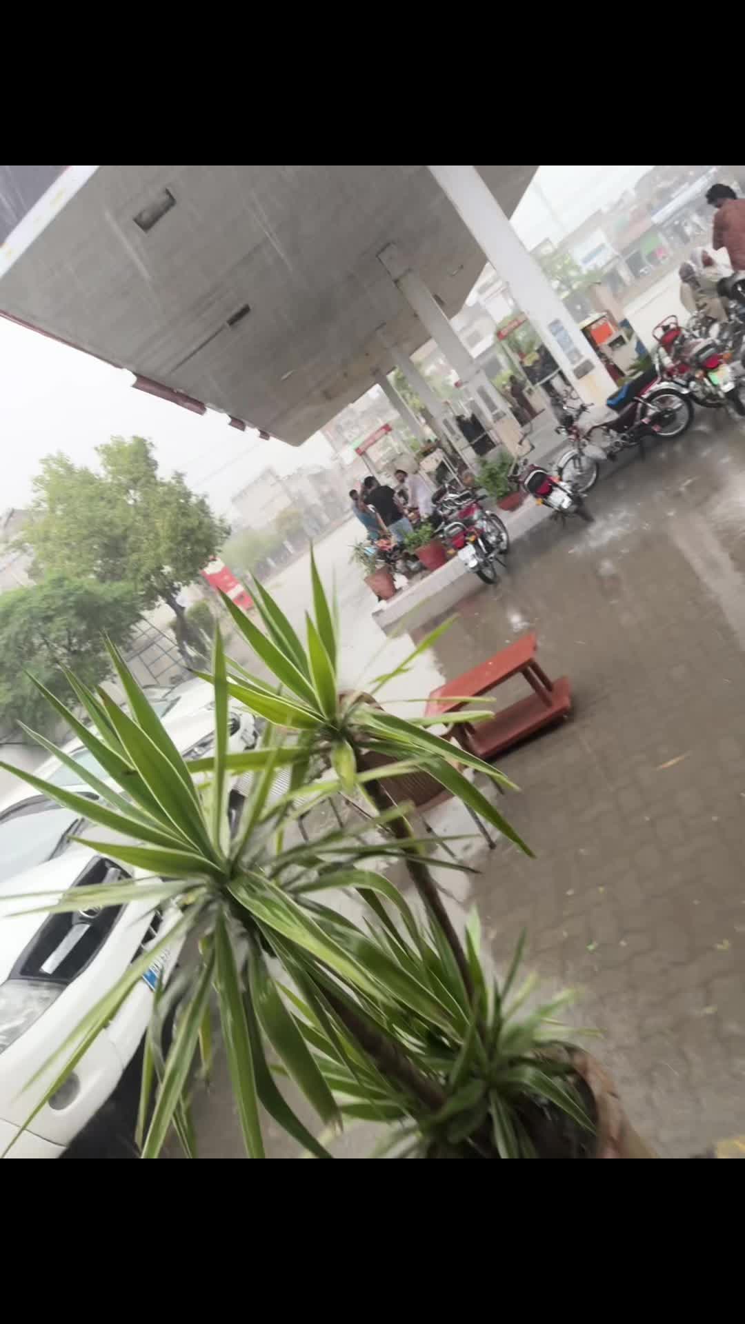 @ملک موٹرز (کینٹ لاہور )