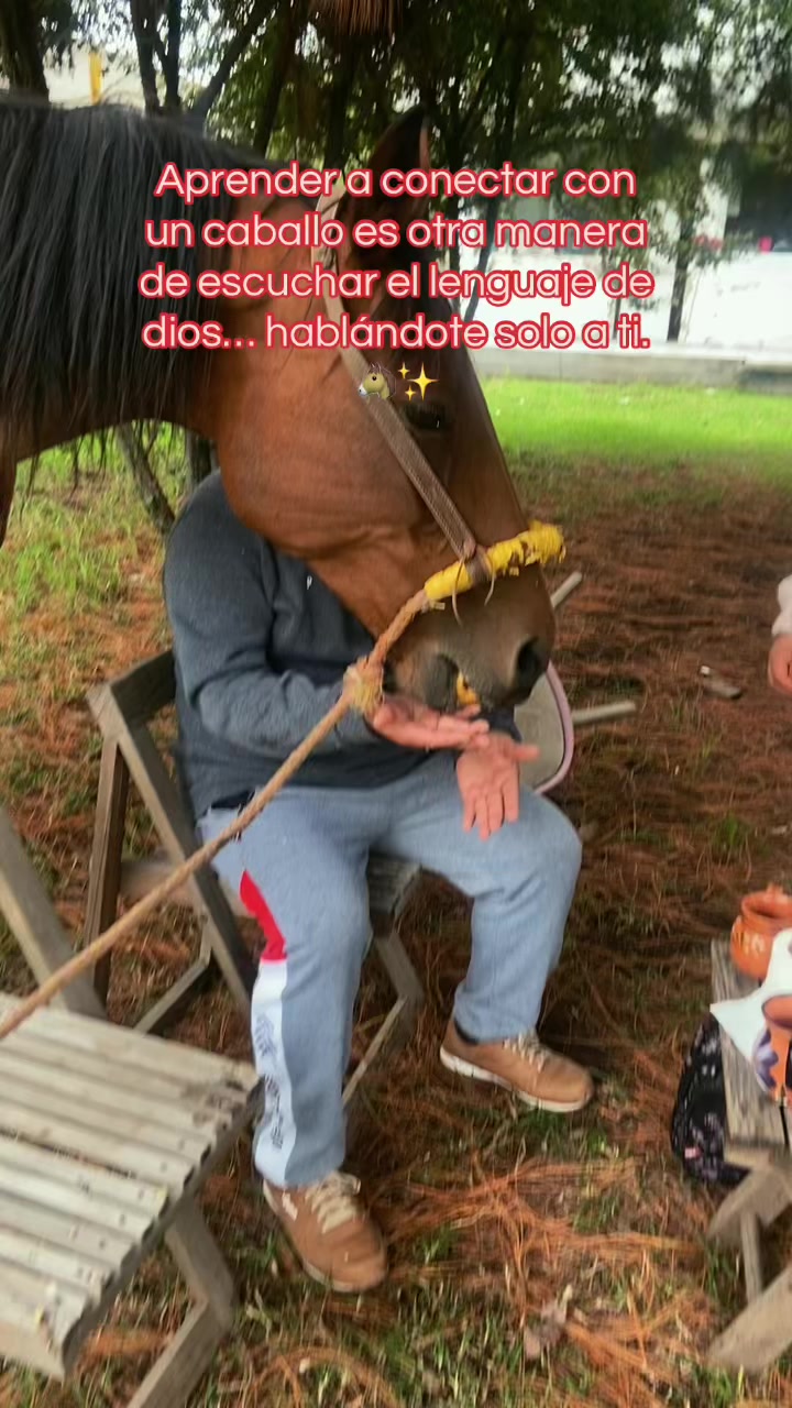 @Shaktali Energia del Corazón💕