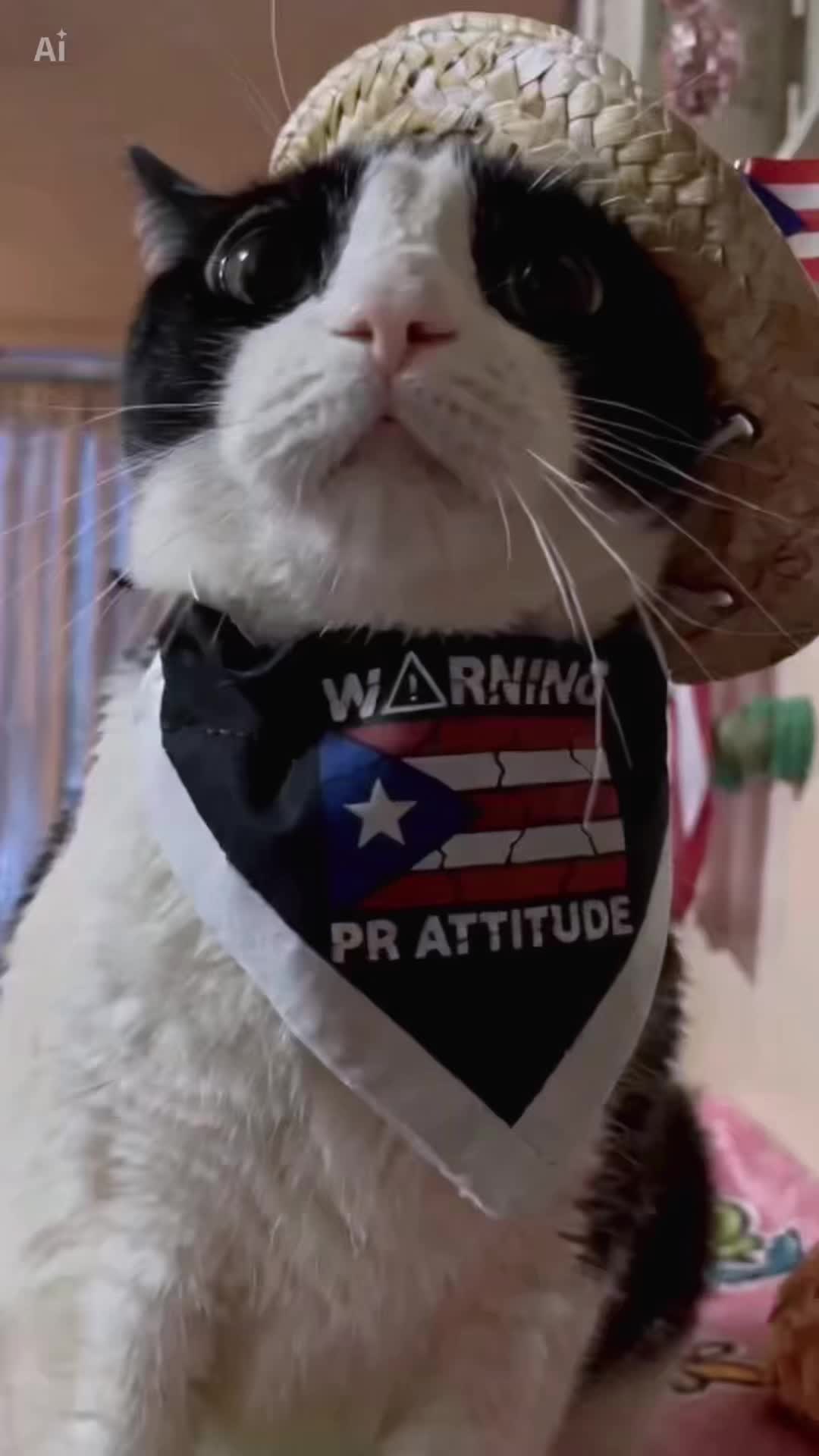 @Concerned_Kitty
