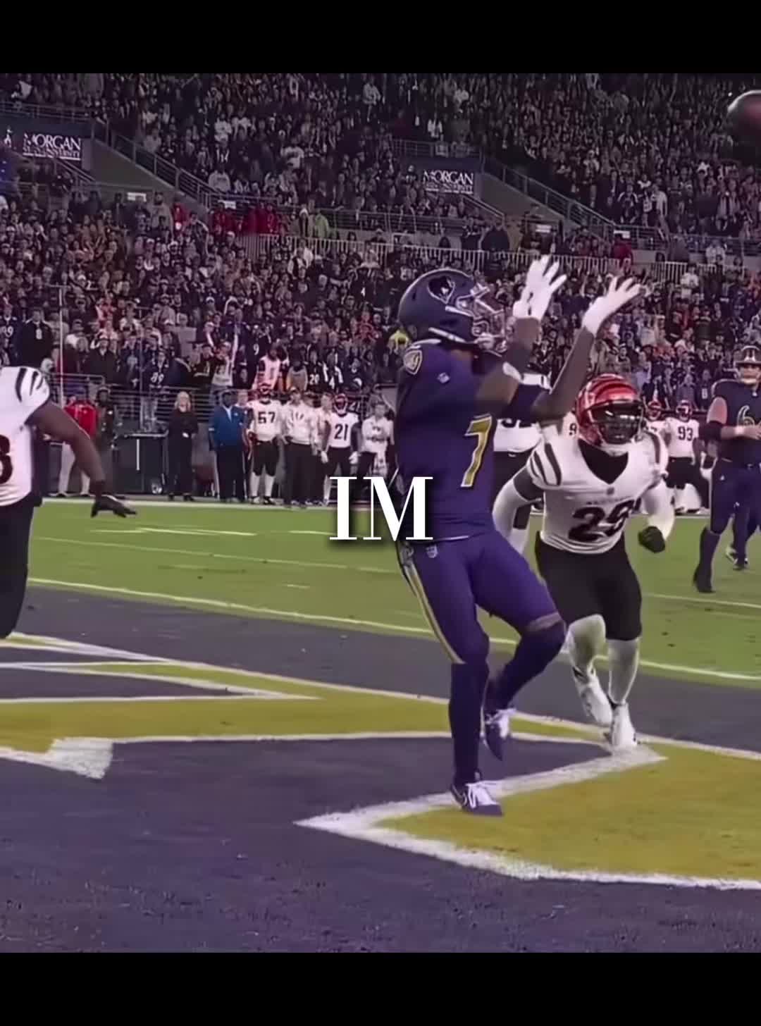 @ᴛᴀᴇ.ᴘᴏᴏʜʙᴇᴀʀ