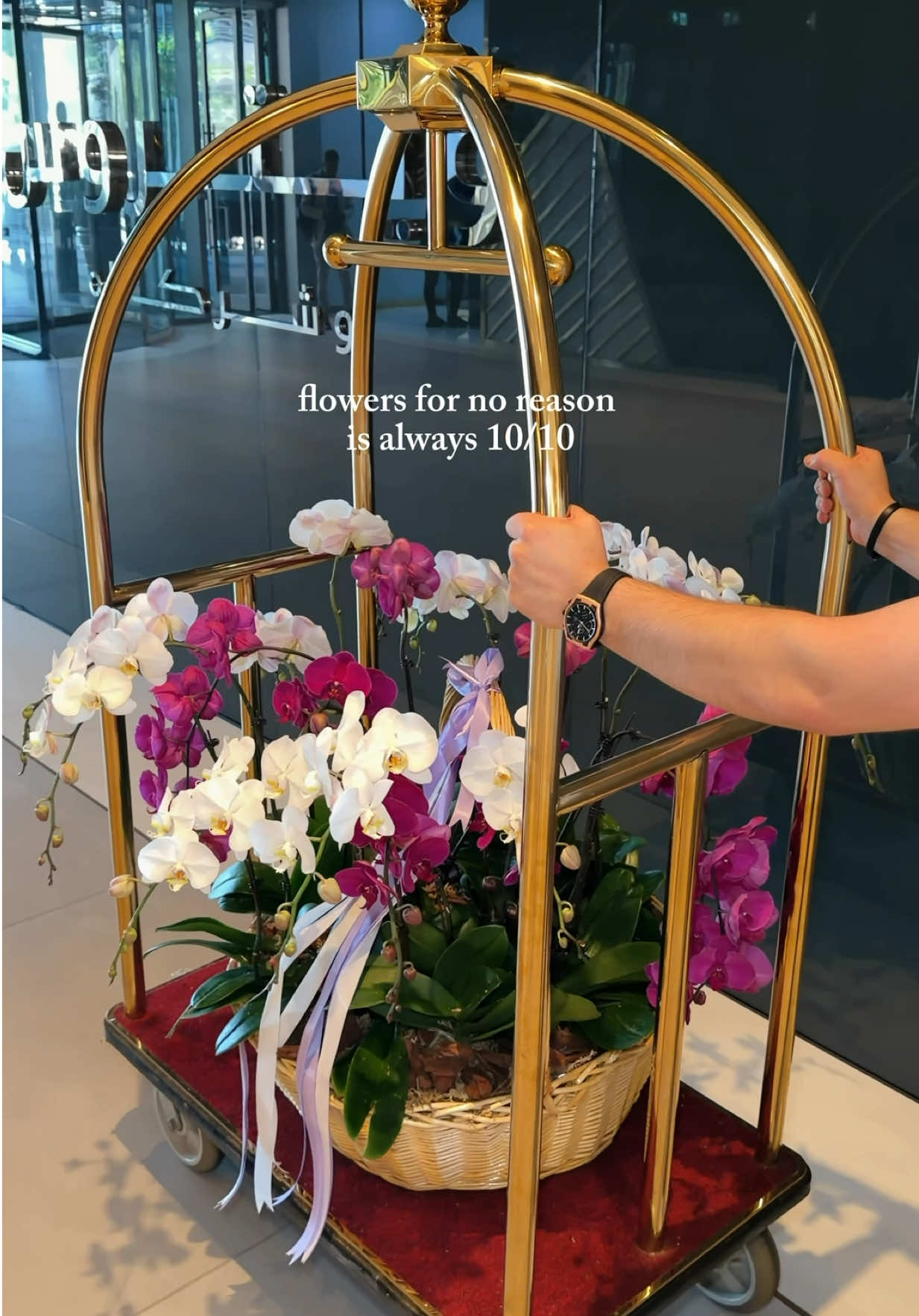@BLOMMA CONCEPT