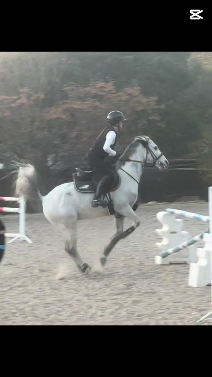 @Jay equestrian