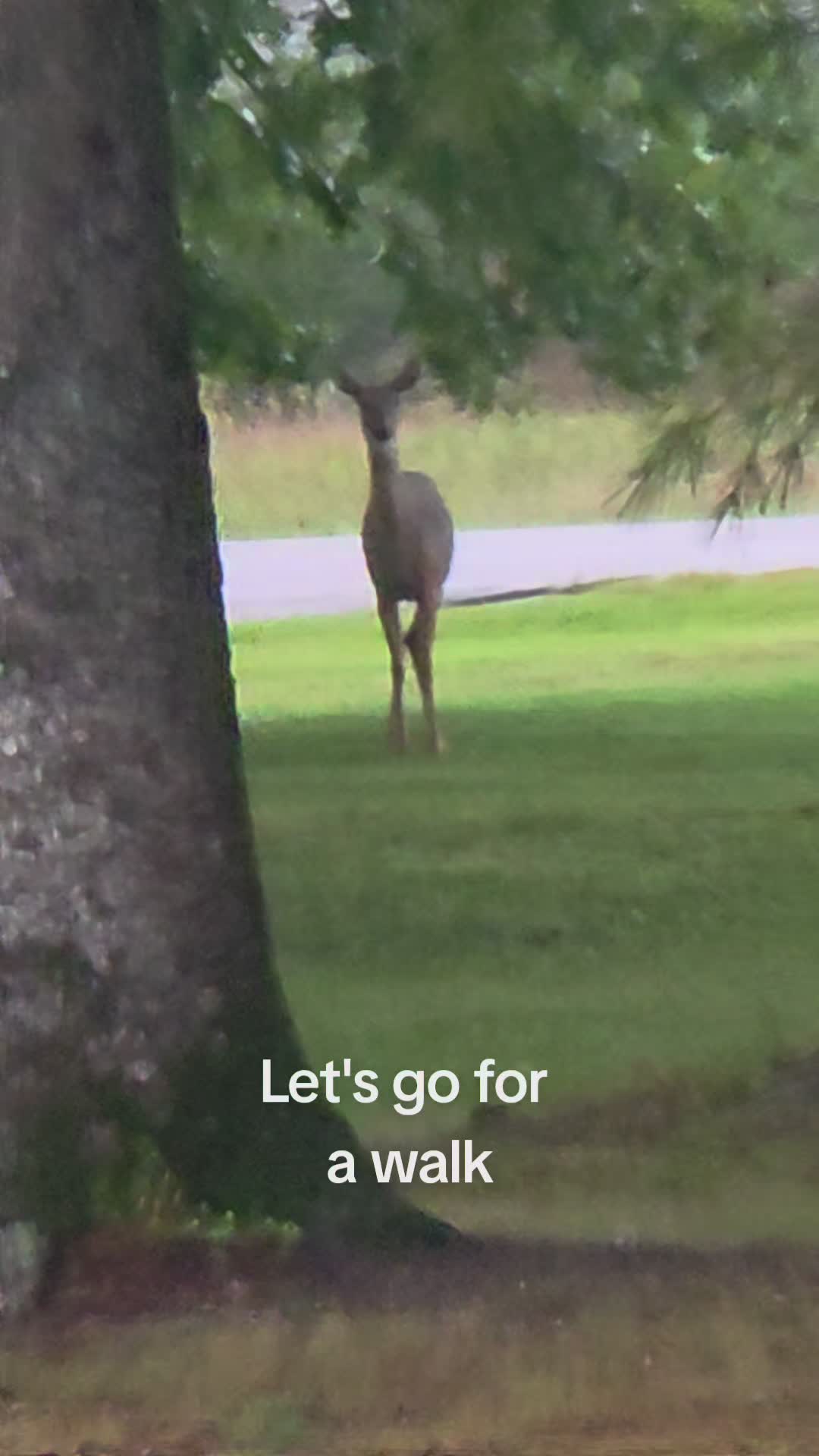 @T.