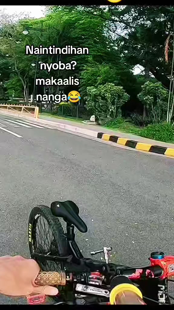 @PAW Mtb rides