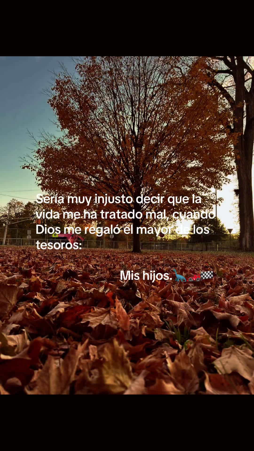 @yina_txs1